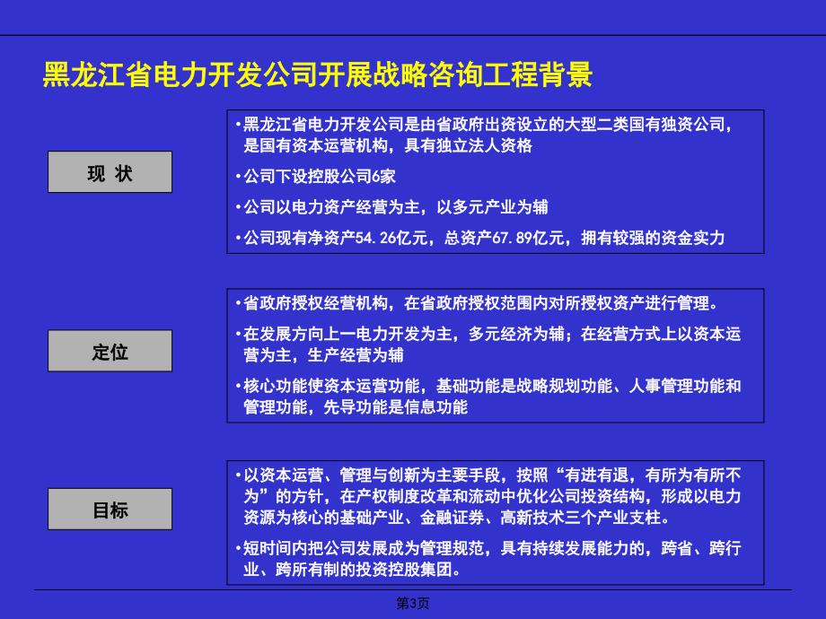 黑龙江省电力开发公司发展战略项目建议书_第3页