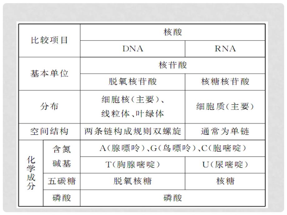 高考生物第1轮总复习 第4讲遗传信息的携带者核酸（观察类实验材料的选取与处理）课件 新人教版必修1 （广东专版）_第4页