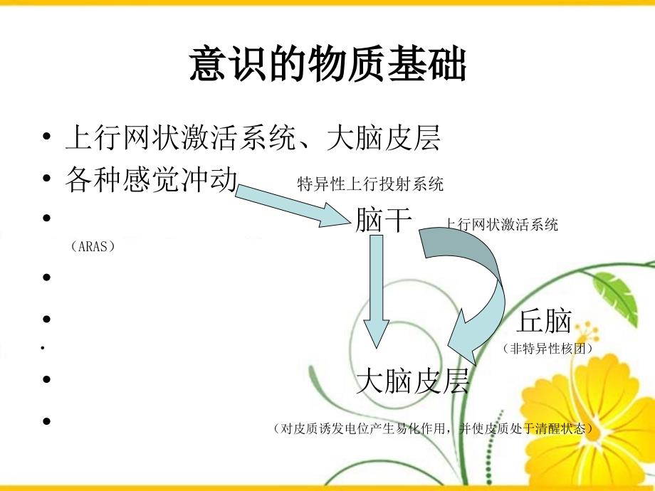 医学专题：意识障碍的分类_第3页