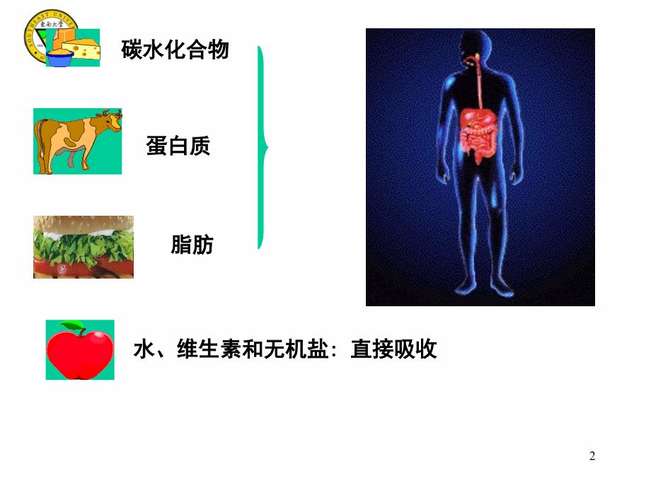 digestion戴2五年制_第2页