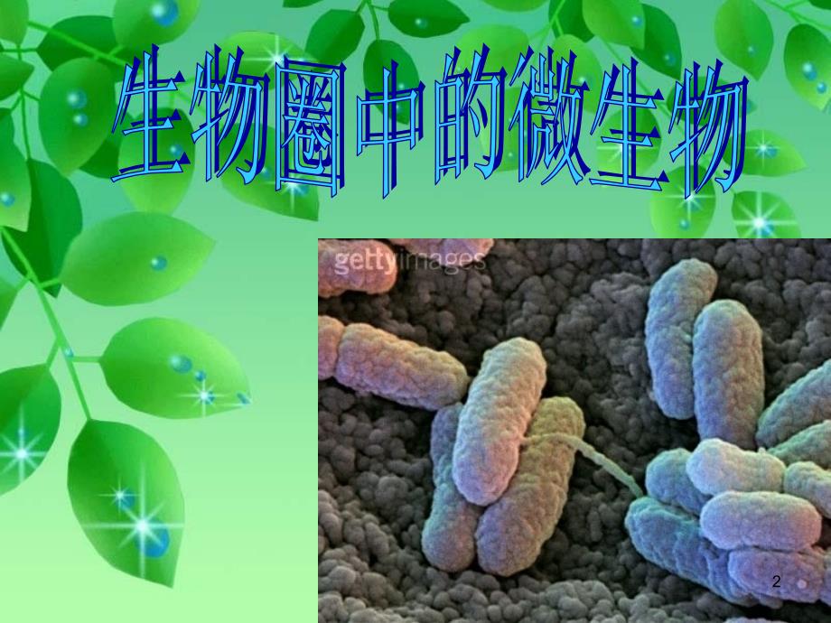 我生物圈中的微生物病毒细菌真菌优秀课件_第2页