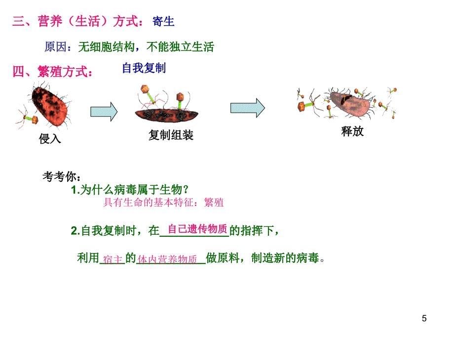 我生物圈中的微生物病毒细菌真菌优秀课件_第5页