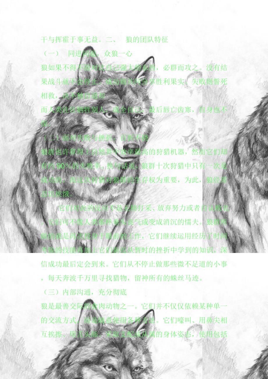 狼团队的个体特征_第3页