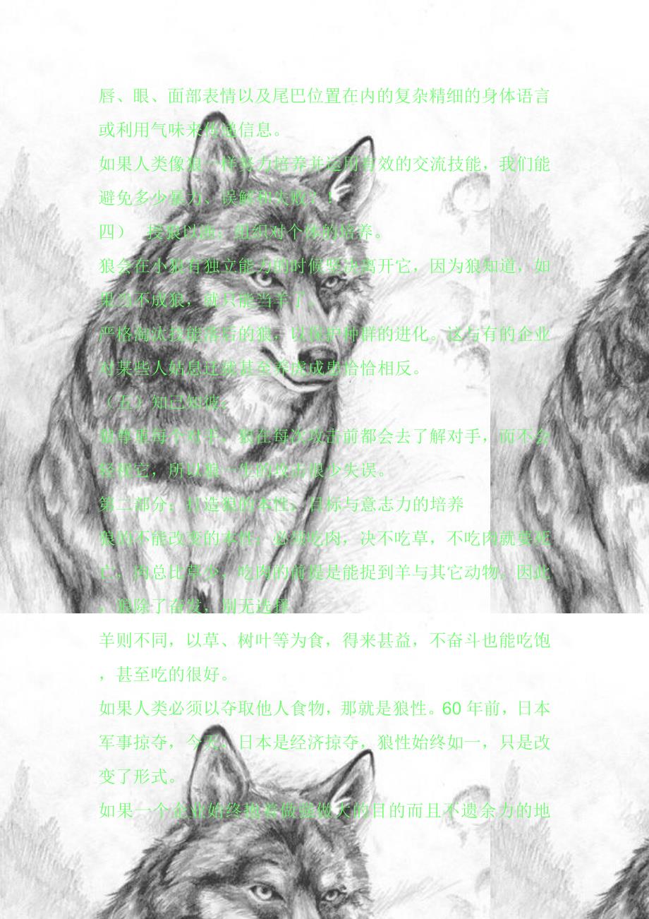 狼团队的个体特征_第4页
