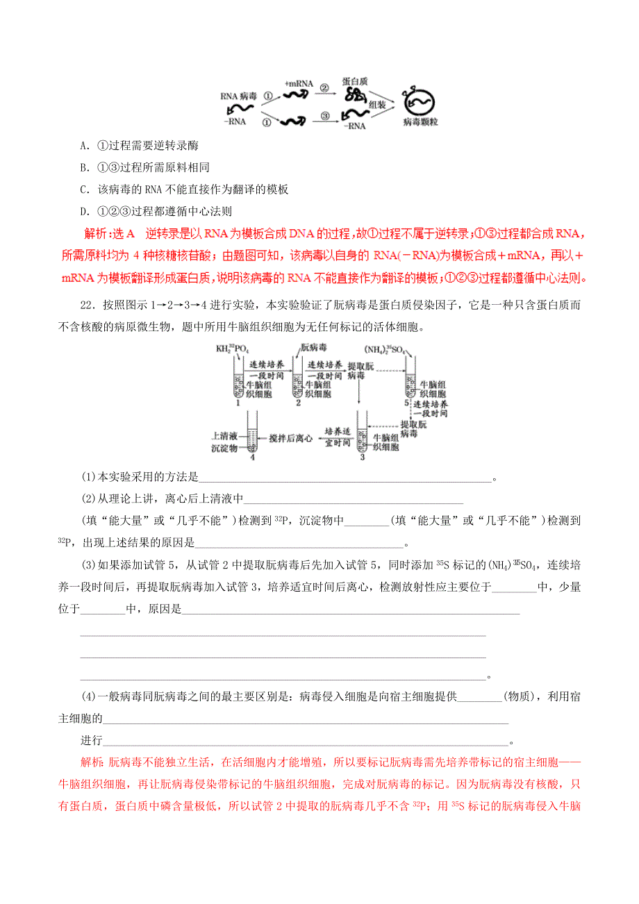 2022年高考生物 考纲解读与热点难点突破 专题06 遗传的分子基础热点难点突破_第3页