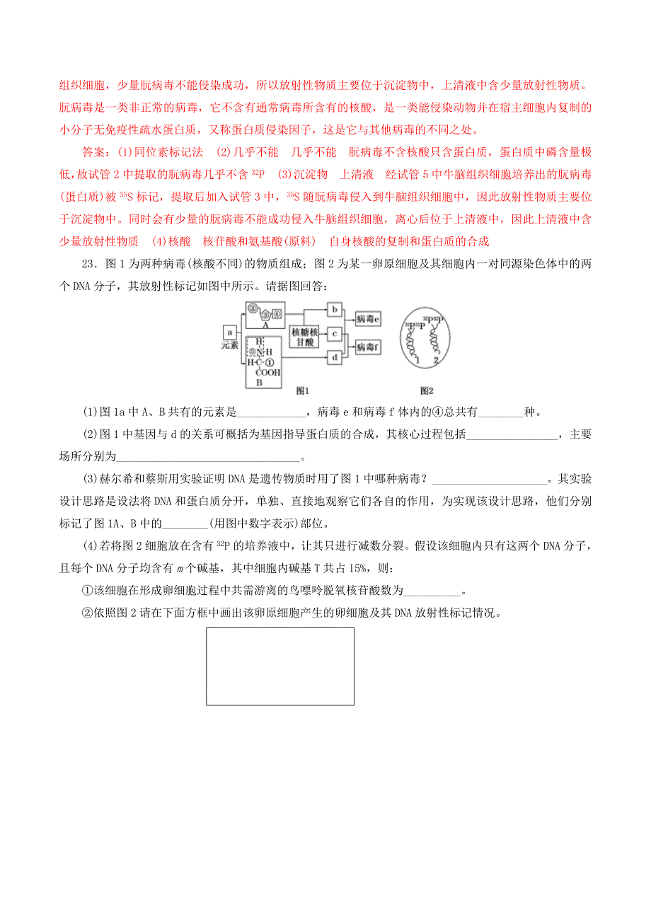 2022年高考生物 考纲解读与热点难点突破 专题06 遗传的分子基础热点难点突破_第4页