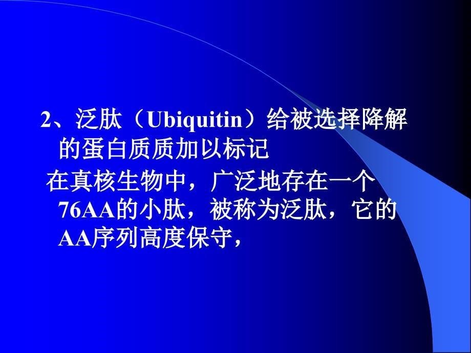 第十一章蛋白质代谢一_第5页