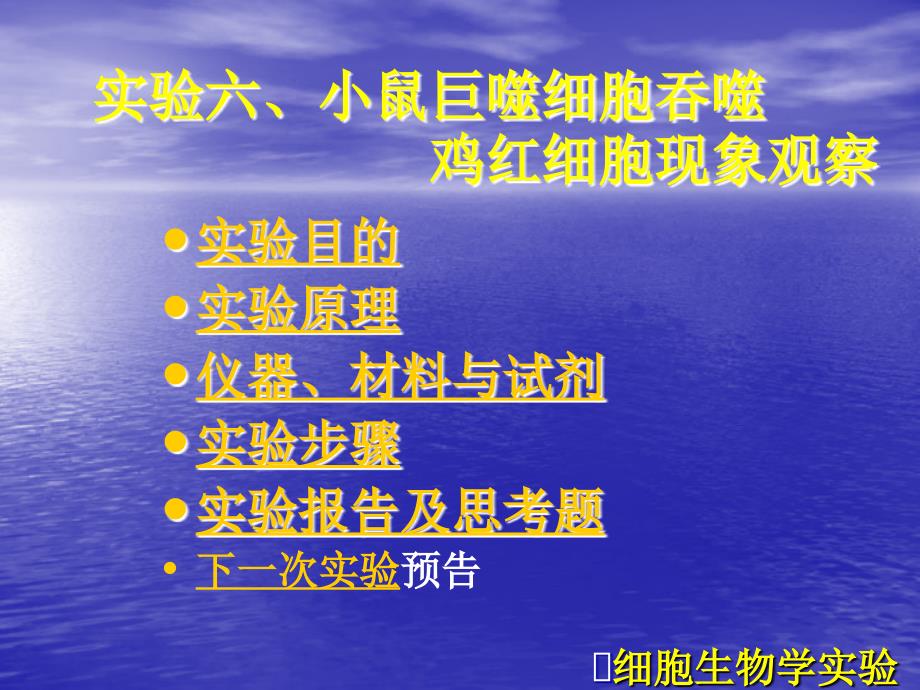 7小鼠巨噬细胞吞噬鸡红细胞细胞生物学实验_第1页