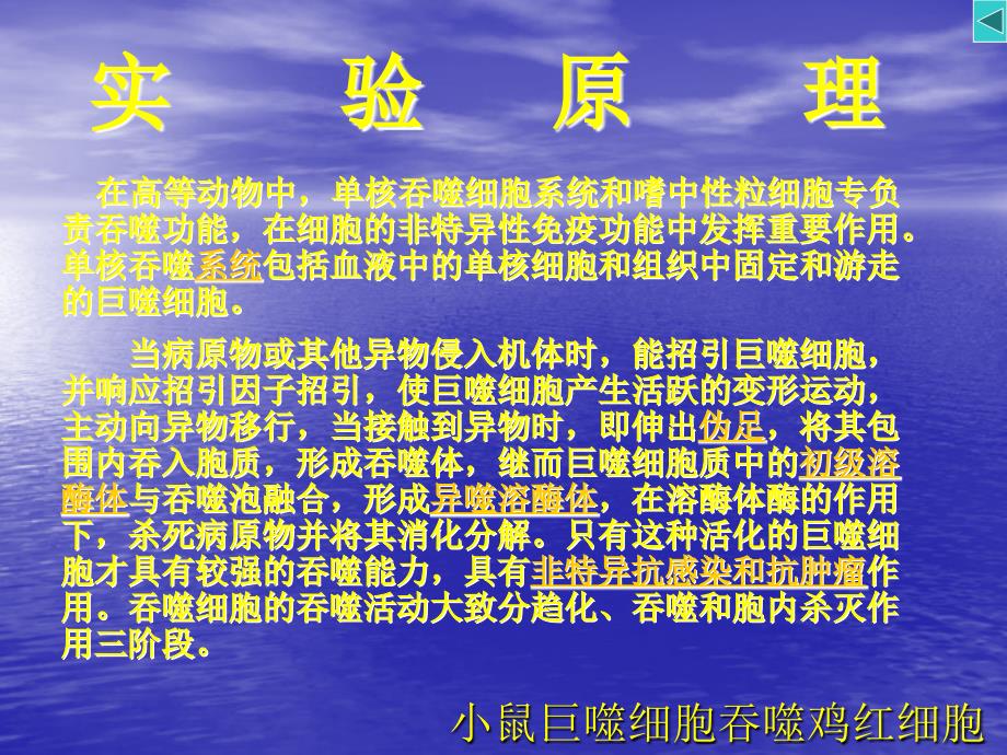 7小鼠巨噬细胞吞噬鸡红细胞细胞生物学实验_第3页