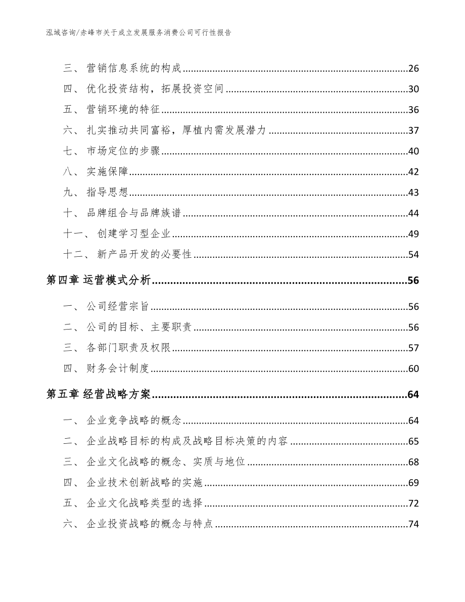 赤峰市关于成立发展服务消费公司可行性报告模板_第2页