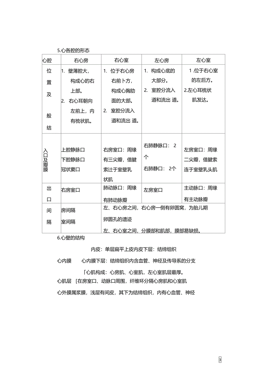 脉管人体结构学_第3页