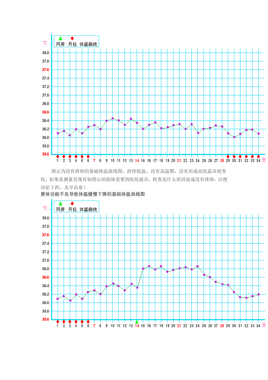 女性基础体温曲线图.doc_第4页