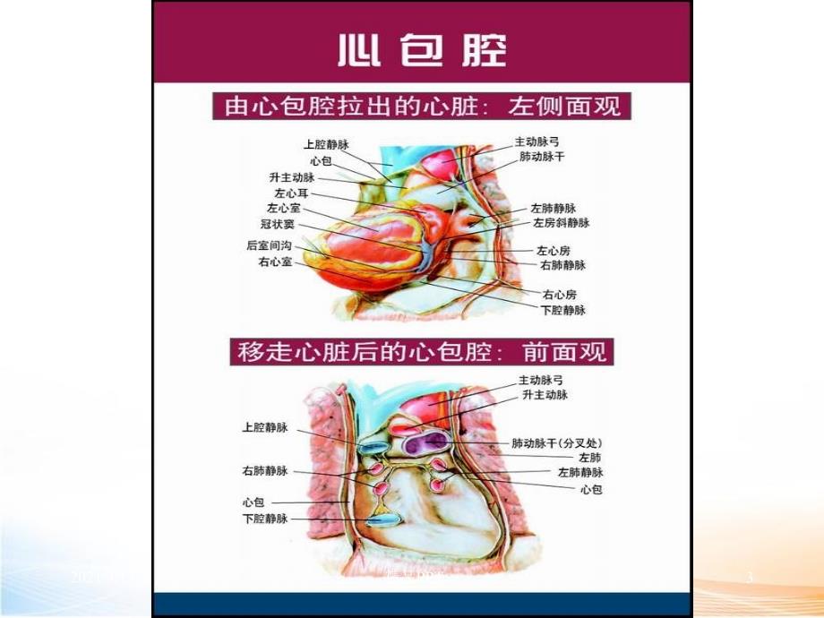 心包疾病、心脏肿瘤医学课件_第3页