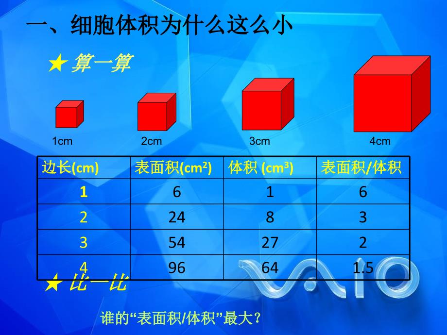 重庆市万州区塘坊初级中学七年级生物上册 第三章 细胞 33 细胞通过分裂而增殖课件2 北师大版_第4页