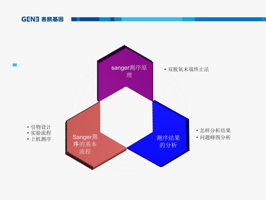 sanger测序培训PPT最终_第2页