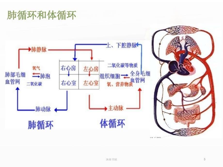 心力衰竭患者的护理[智囊书屋]_第5页