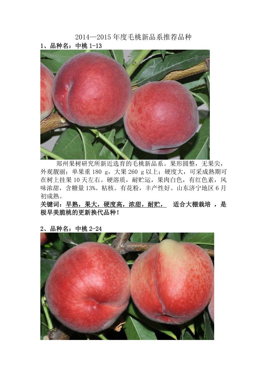 2014—2015年度毛桃新品系推荐品种_第1页