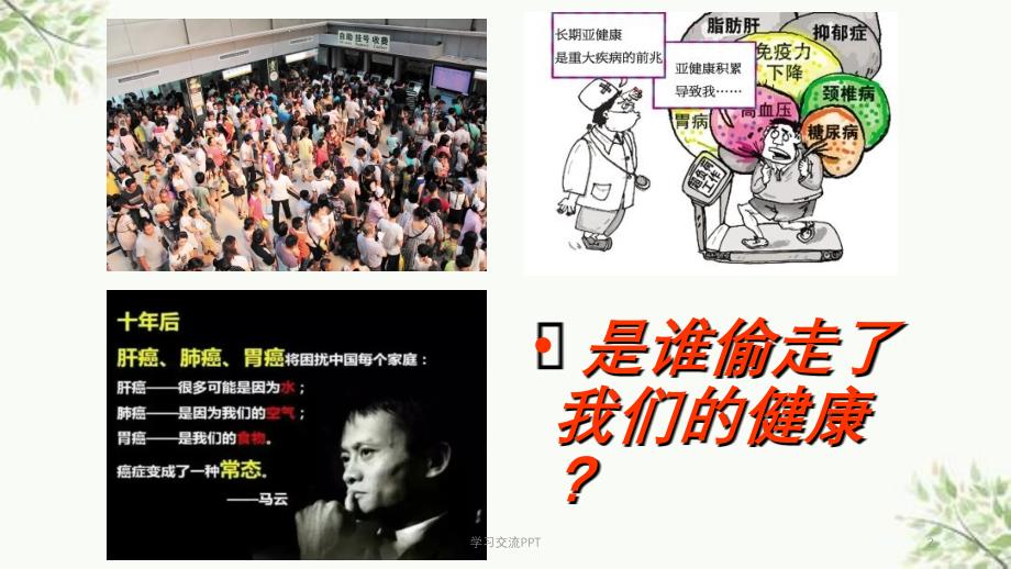 中医经络与养生ppt课件_第1页