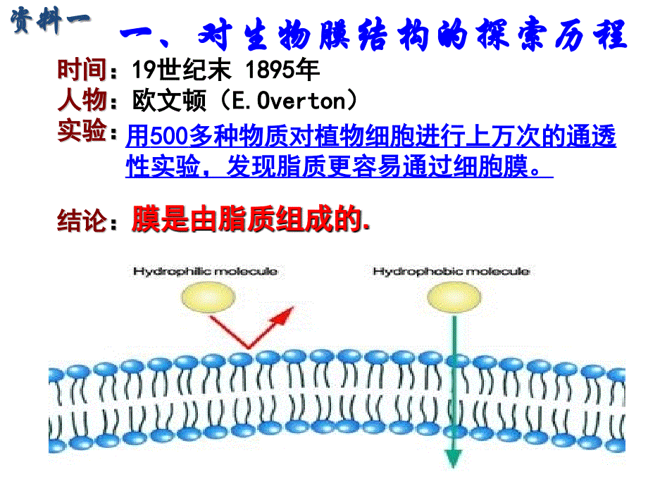 生物必修4.2生物膜的流动镶嵌模型PPT课件_第3页