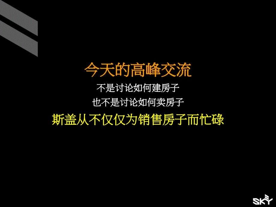 常州巨凝豪宅项目营销战略报告课件_第5页