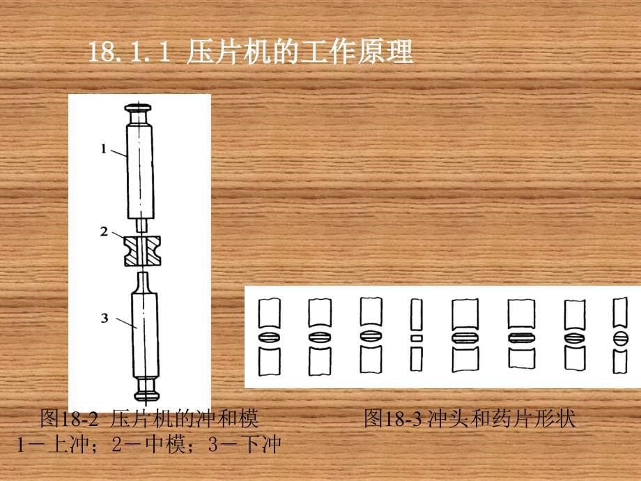 制药设备与工程设计朱宏吉二版第18章口服固体制剂生产专用设备_第5页