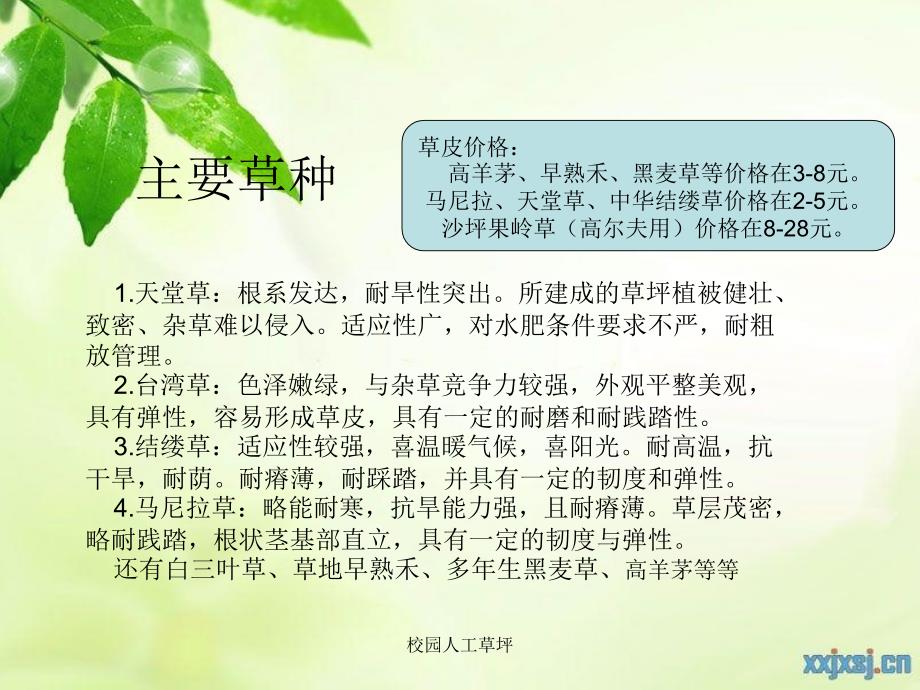 校园人工草坪课件_第4页