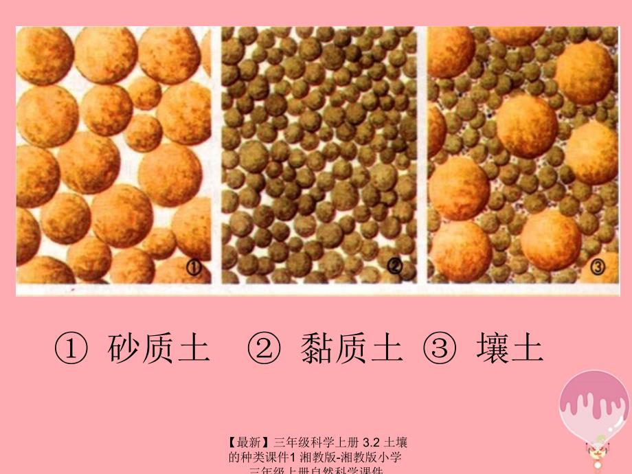 最新三年级科学上册3.2土壤的种类课件1湘教版湘教版小学三年级上册自然科学课件_第3页