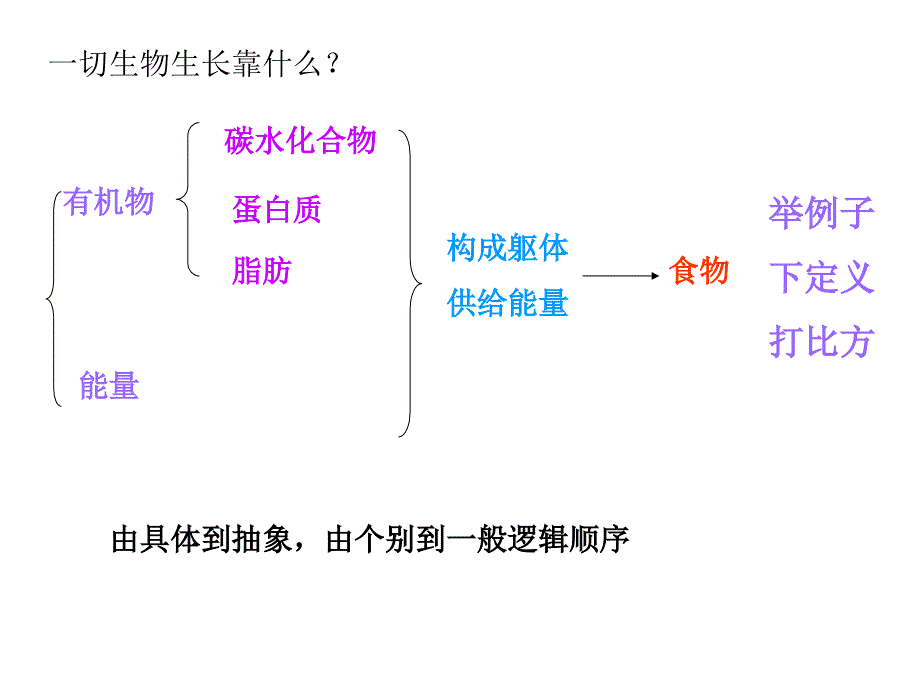 粒种子能长成参天大树_第3页