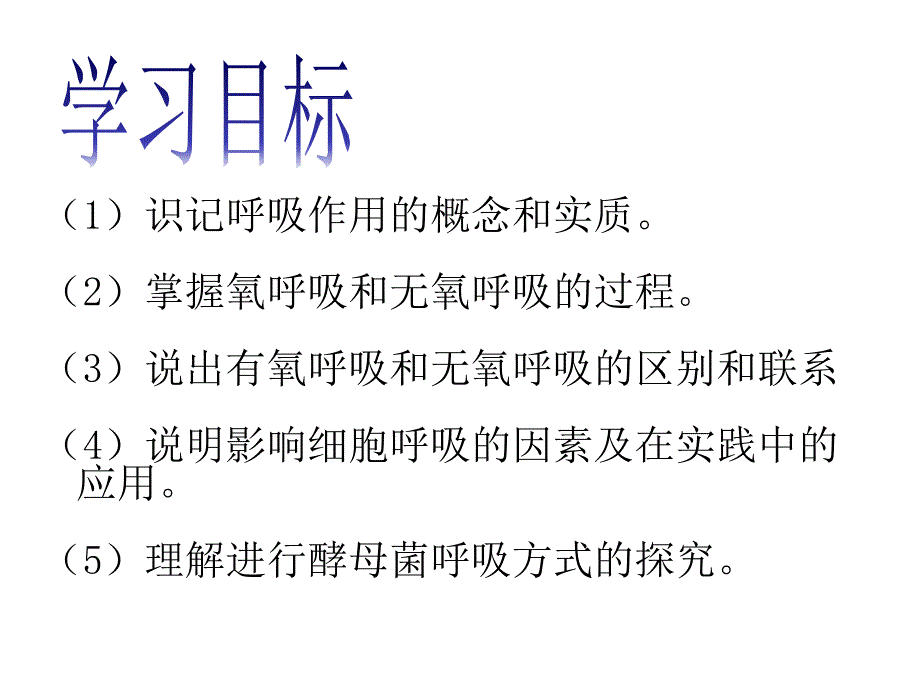 有氧呼吸课件_第2页