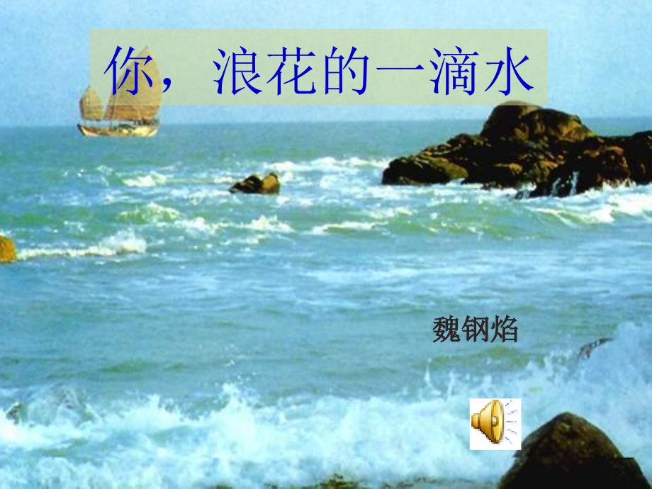 北师大版六年级下册浪花里的一滴水PPT课件字词串讲简介_第1页