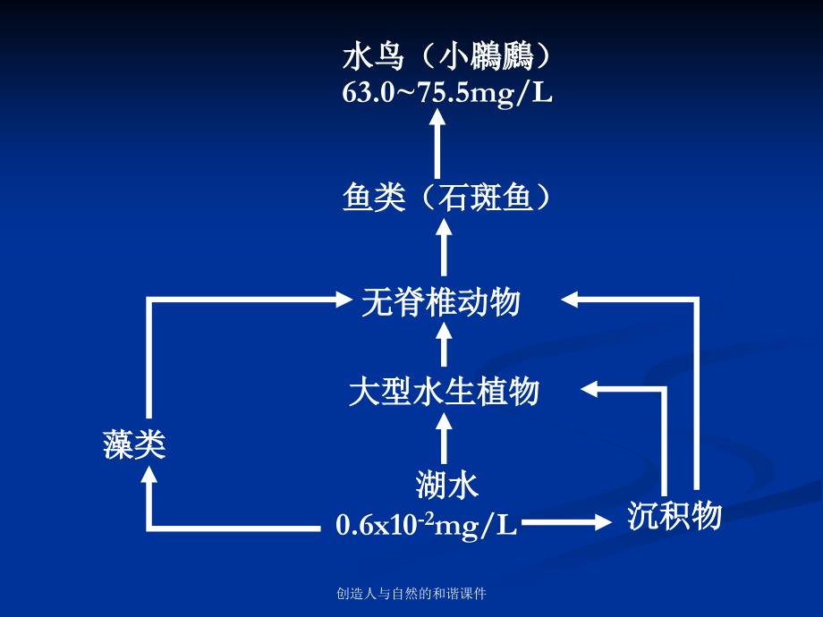 创造人与自然的和谐课件_第3页