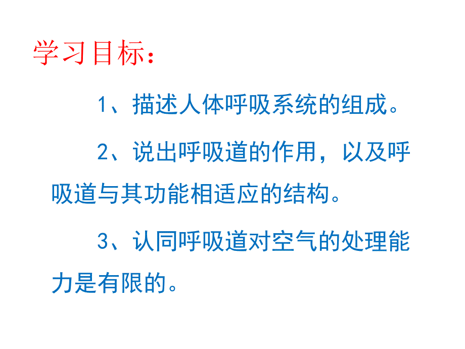 呼吸道对空气的处理1_第2页