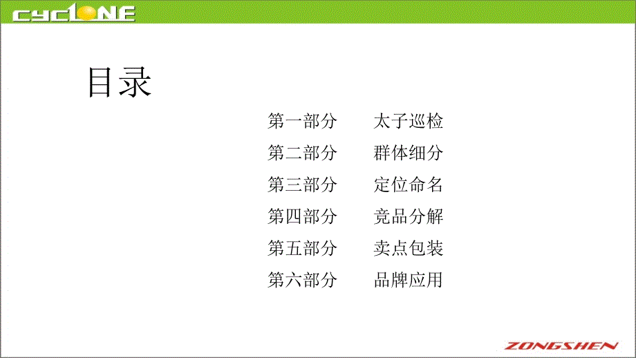 赛龙RA1整合营销方案_第2页