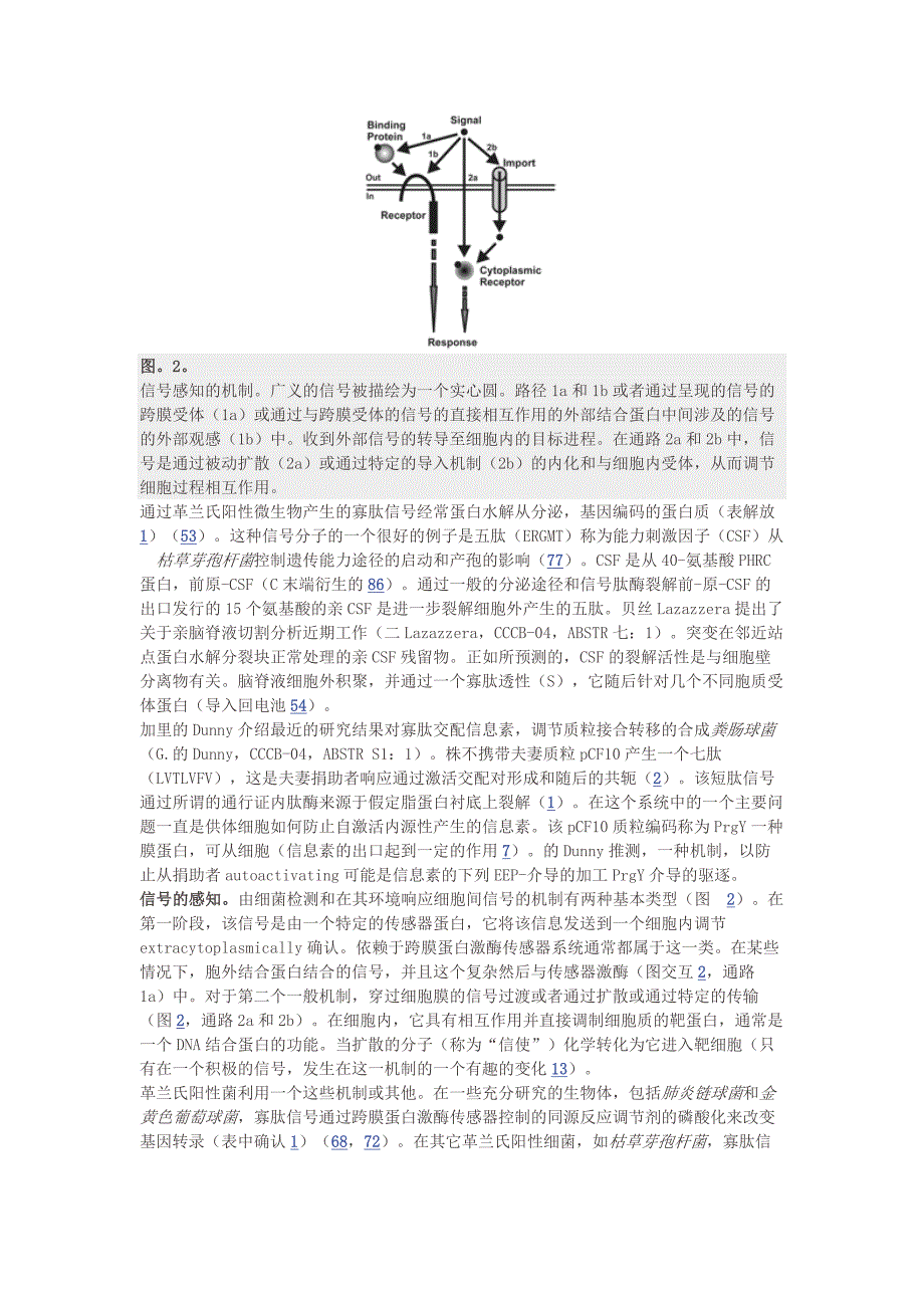 在细菌细胞间通道_第4页