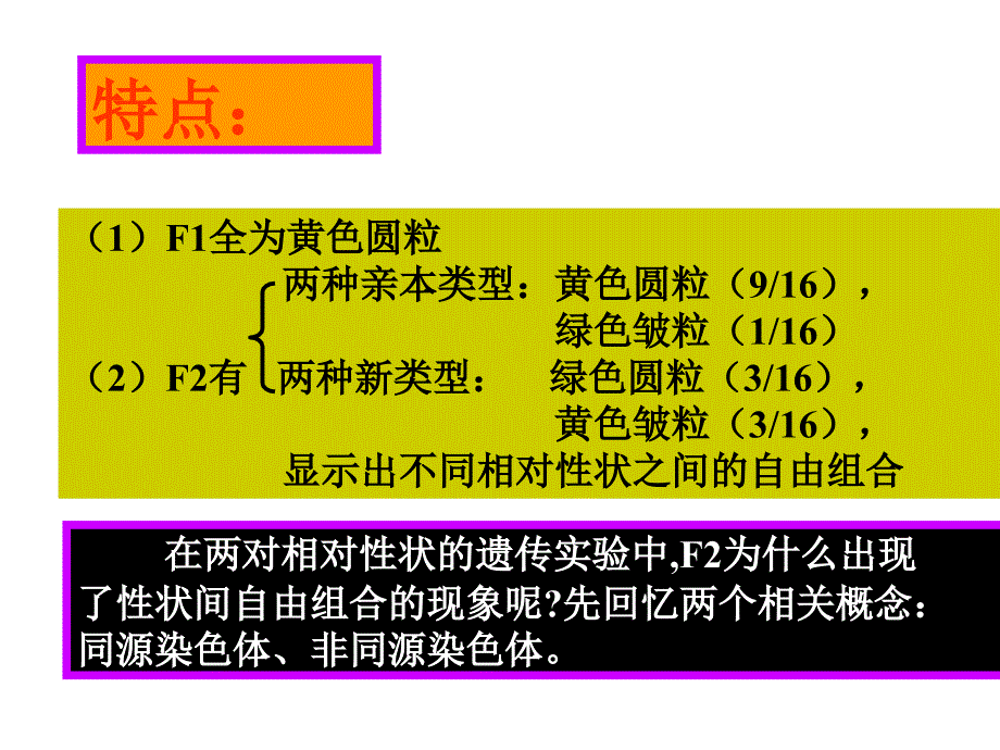 孟德尔豌豆杂交实验二_第3页