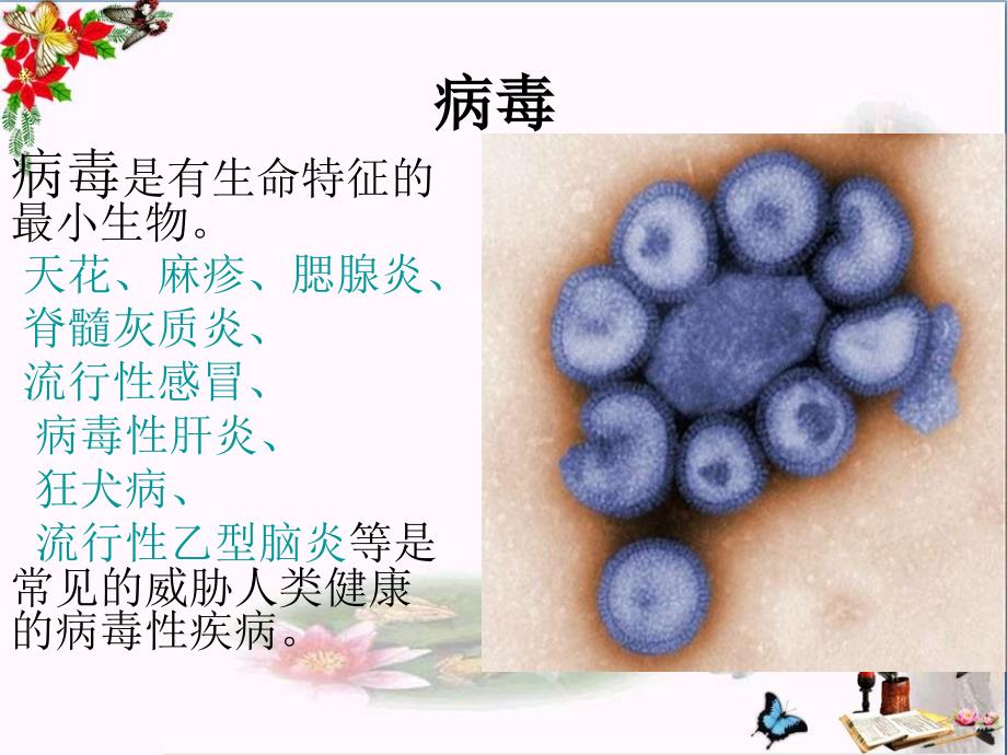 六年级科学上册病毒课件3青岛版_第4页