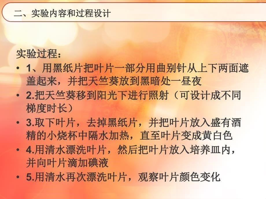 实验教学说课PPT_第5页