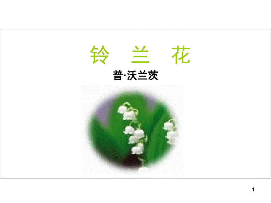 铃兰花公开课课堂PPT_第1页