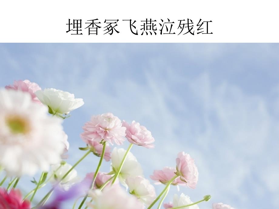 埋香冢飞燕泣残红_第1页