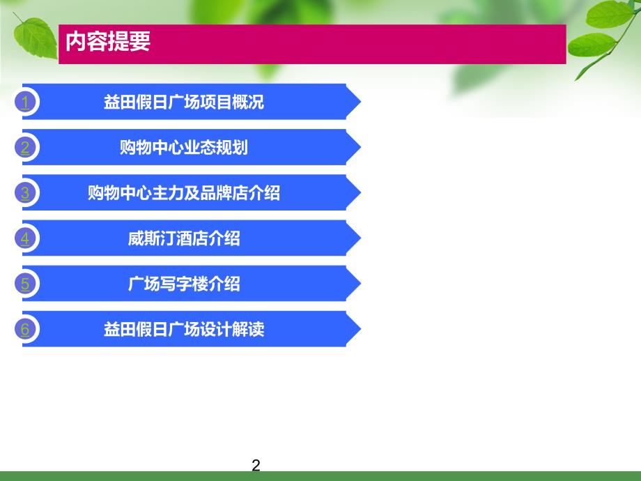 益田假日广场商业调查报告_第2页