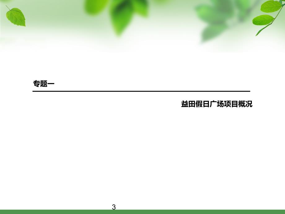 益田假日广场商业调查报告_第3页