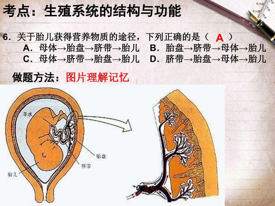 初二上期中试卷讲评_第4页