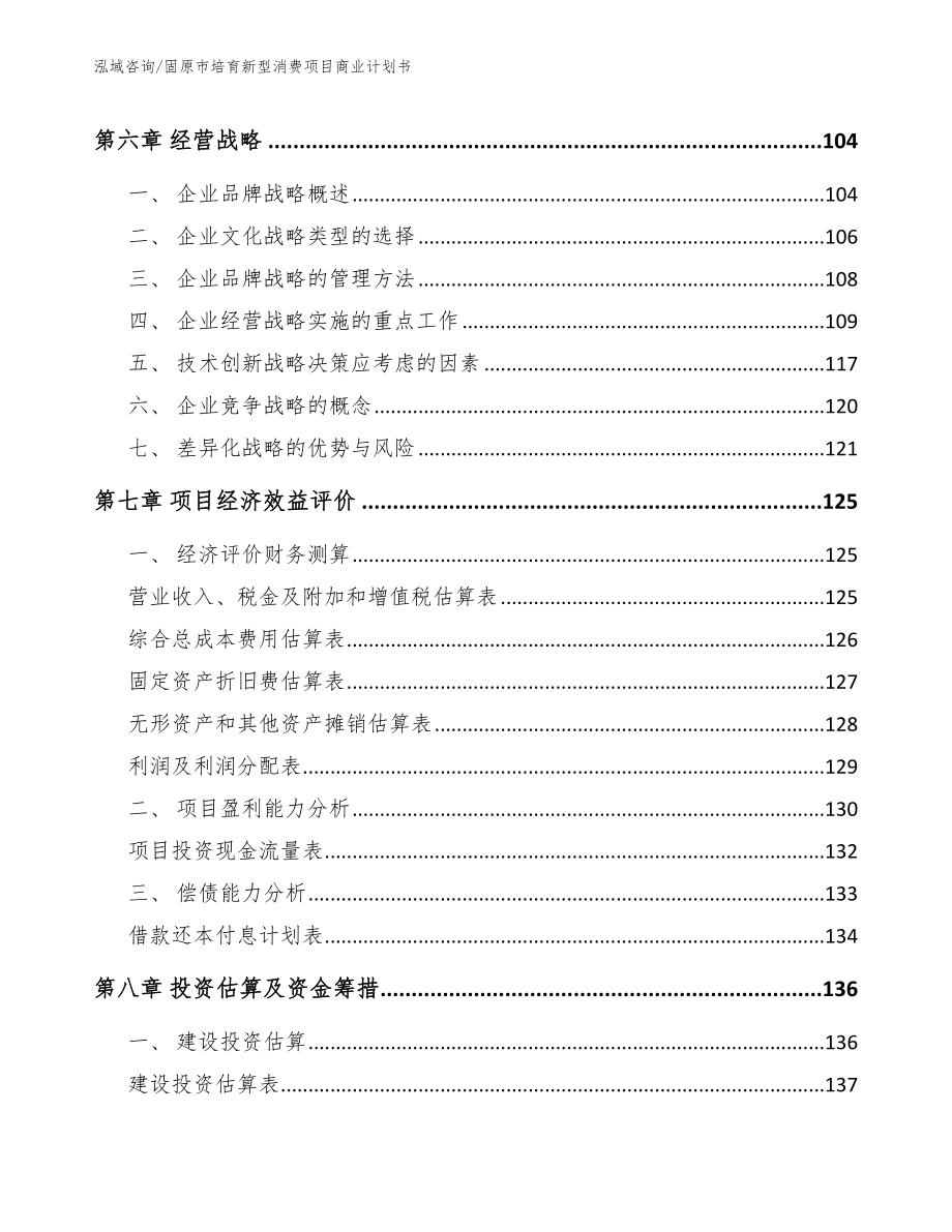 固原市培育新型消费项目商业计划书_第3页