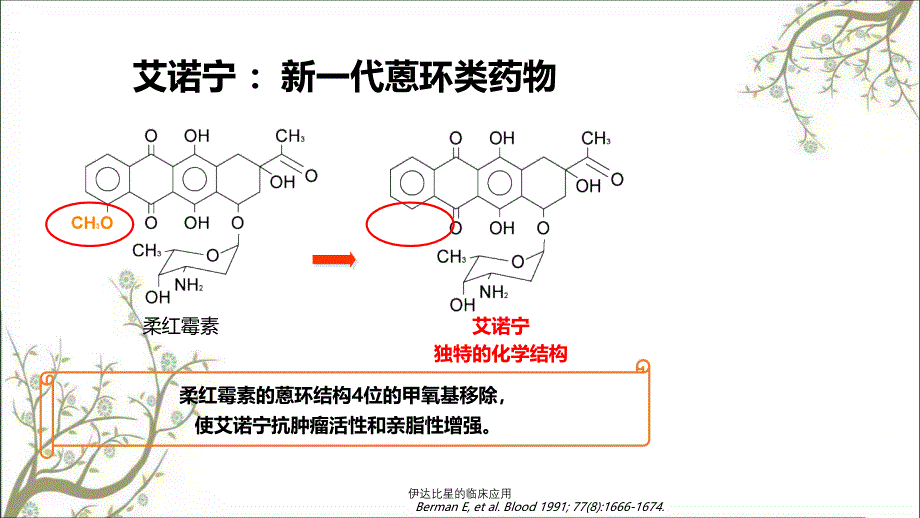 伊达比星的临床应用_第4页