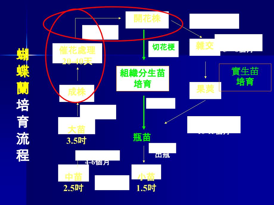 催花温室的设计与冷冻空调热泵在蝴蝶兰产业的应用_第3页