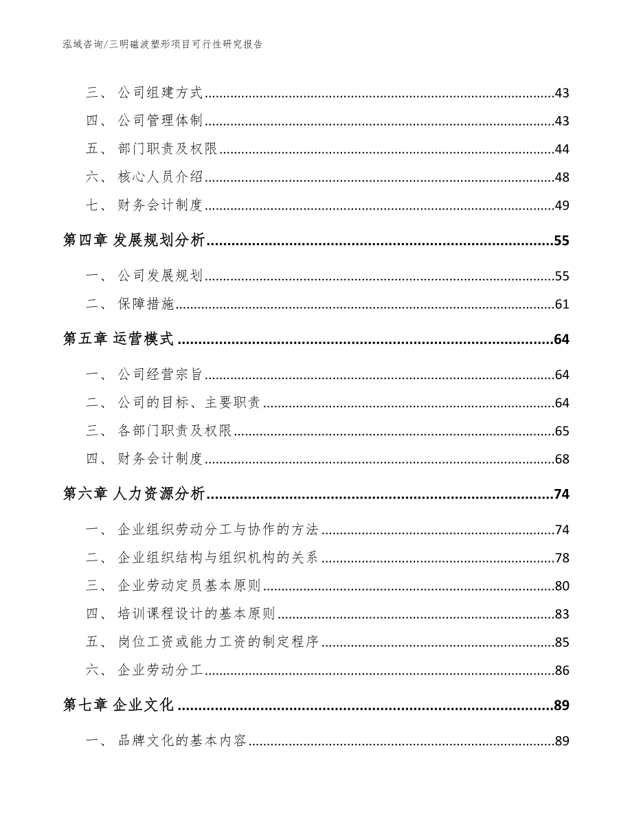 三明磁波塑形项目可行性研究报告【模板参考】_第2页