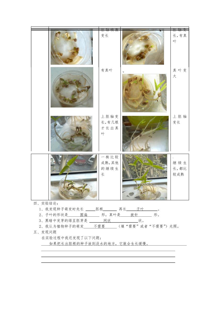 植物种子萌发实验记录表_第2页