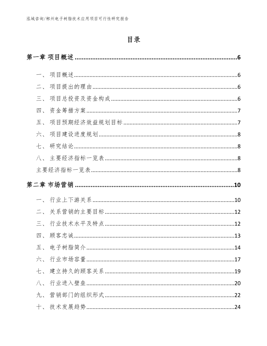 郴州电子树脂技术应用项目可行性研究报告（模板范文）_第1页