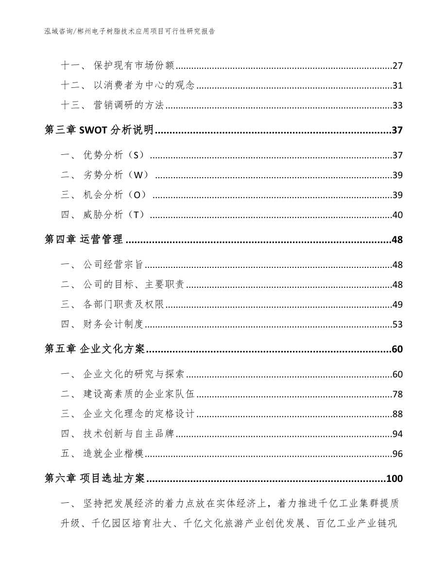 郴州电子树脂技术应用项目可行性研究报告（模板范文）_第2页