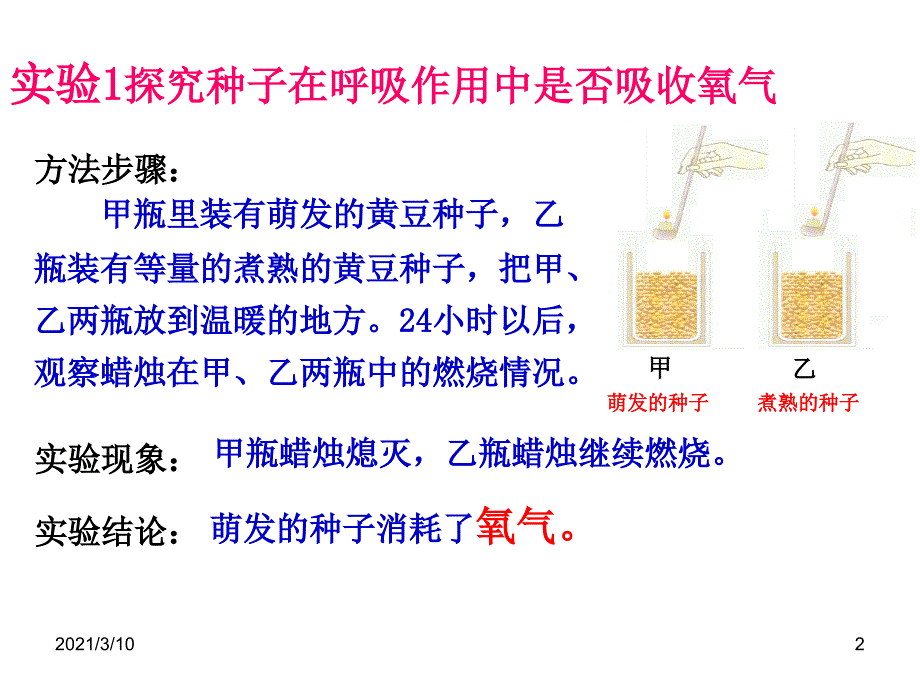 绿色植物吸入氧气呼出二氧化碳_第2页